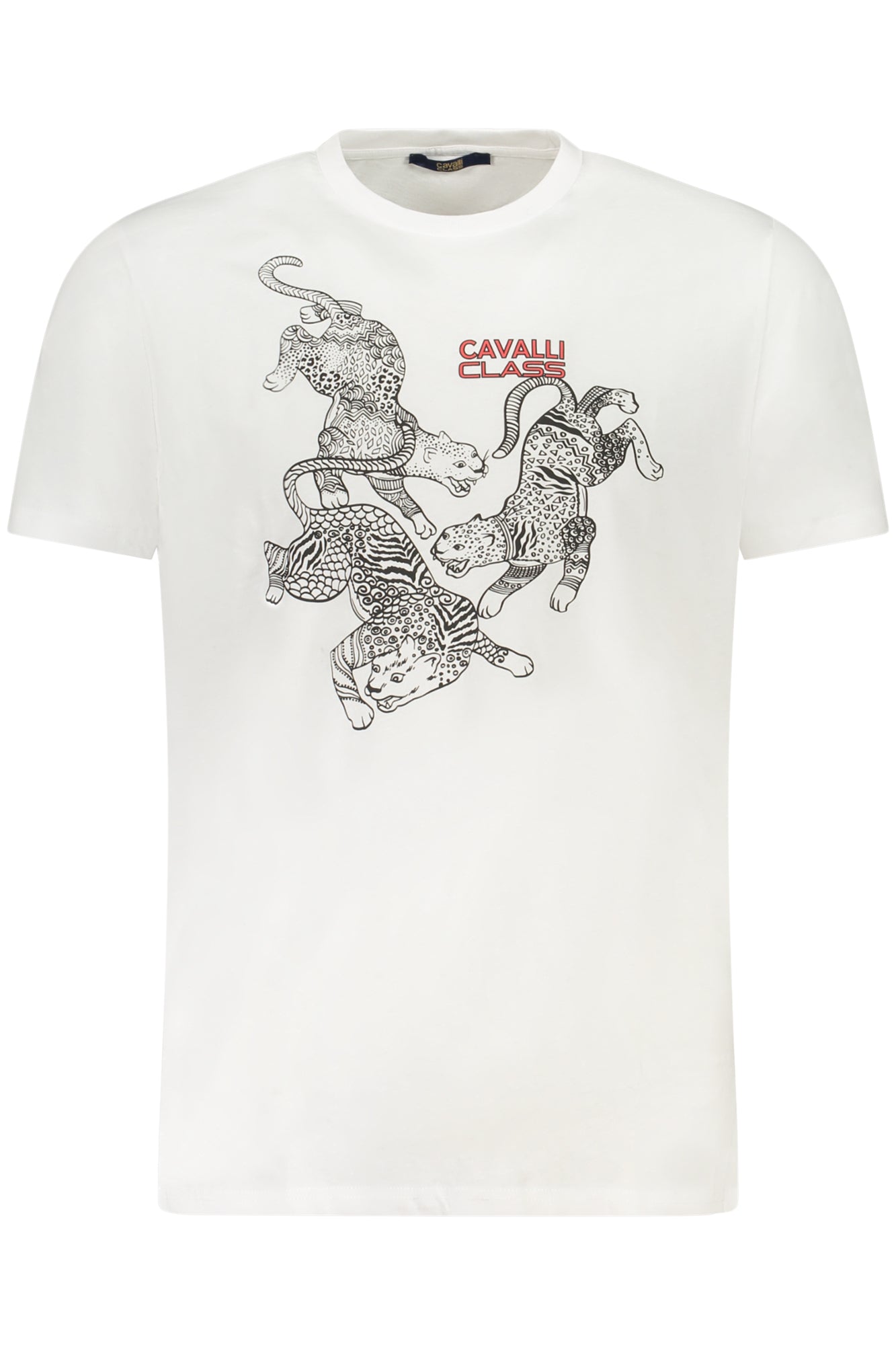CAVALLI CLASS T-SHIRT MANICHE CORTE UOMO