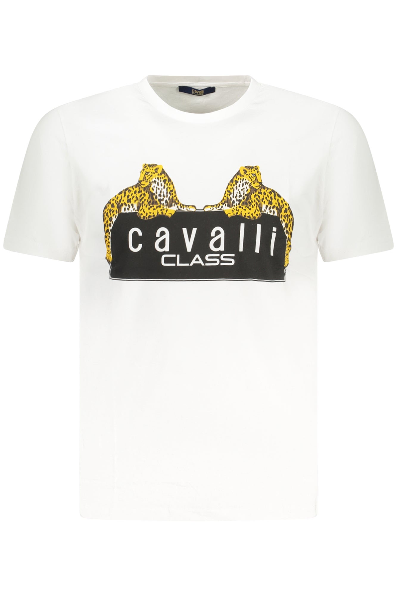 CAVALLI CLASS T-SHIRT MANICHE CORTE UOMO