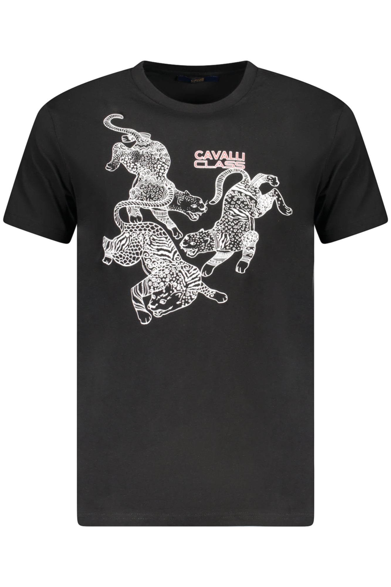 CAVALLI CLASS T-SHIRT MANICHE CORTE UOMO