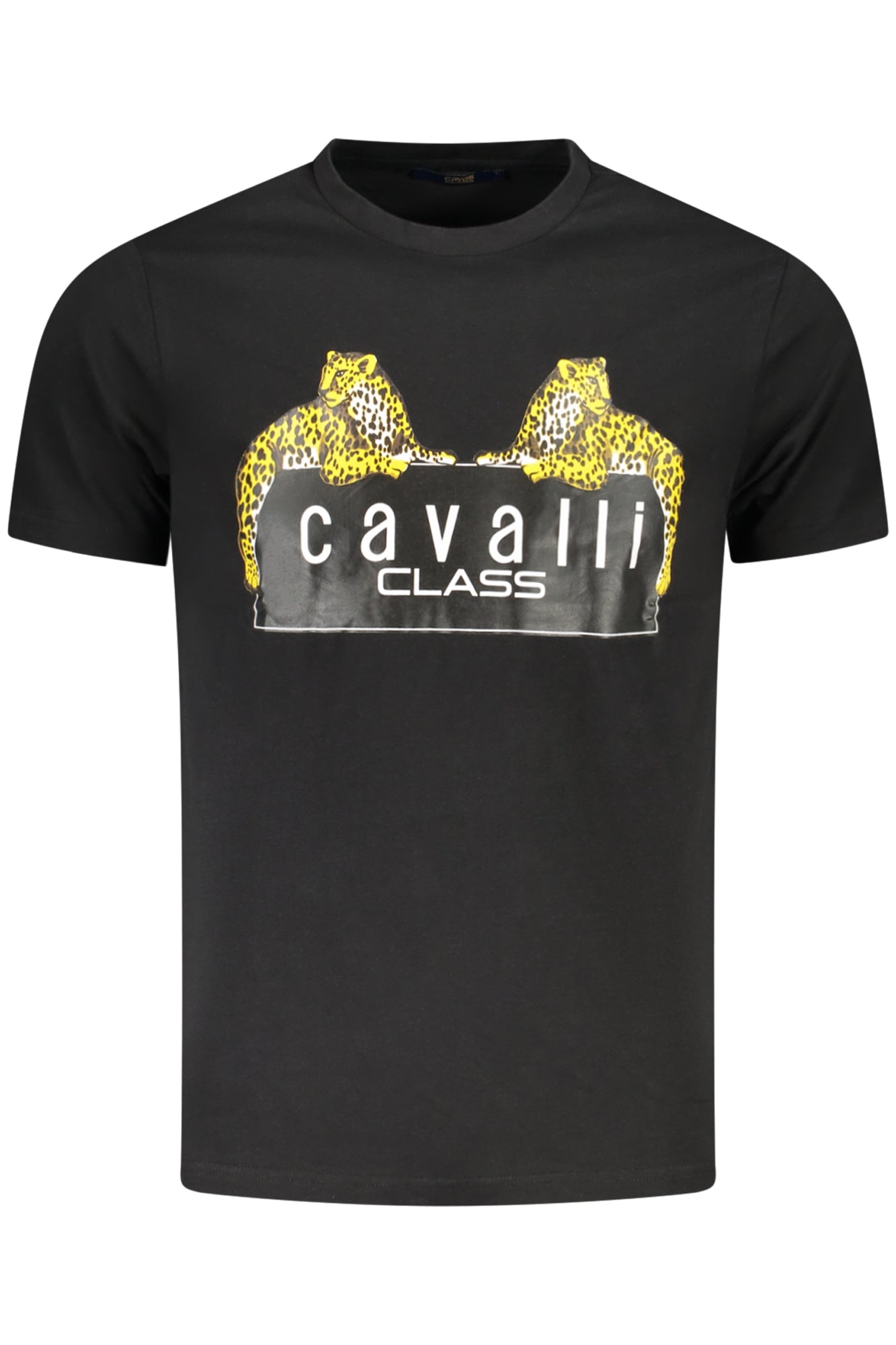 CAVALLI CLASS T-SHIRT MANICHE CORTE UOMO