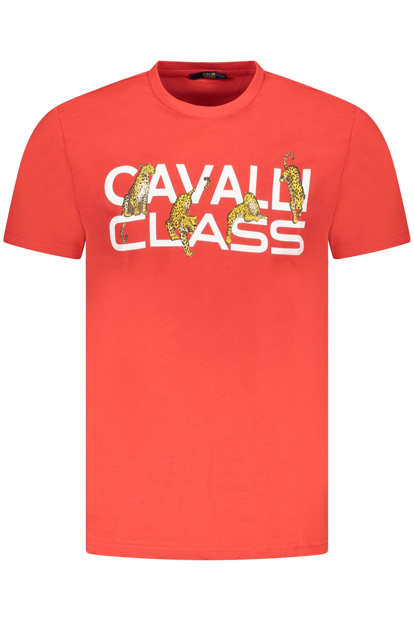 CAVALLI CLASS T-SHIRT MANICHE CORTE UOMO